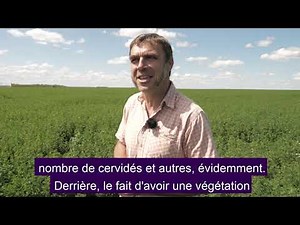 La luzerne & vous : Ep. 4: la conversion à l'agriculture Biologique