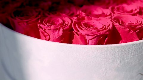 50 Piece Roses in a Velvet Box, Flowers for Delivery, Presereved Flowers Birthday Gifts for Women Mom and Wife (Pink)