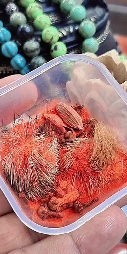 Exploring Dried Plant Materials in Decorative Containers