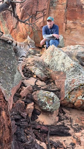 If you guy remember a couple post ago of that giant toilet station? Well here’s it fast forward. Hoping there’s a few more! #WCI | Western Cats, Inc.