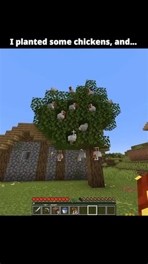 I Planted Chickens Like Seeds… And Accidentally Created a CHICKEN TREE 😭🐔🌱 #meme #funny #minecraft
