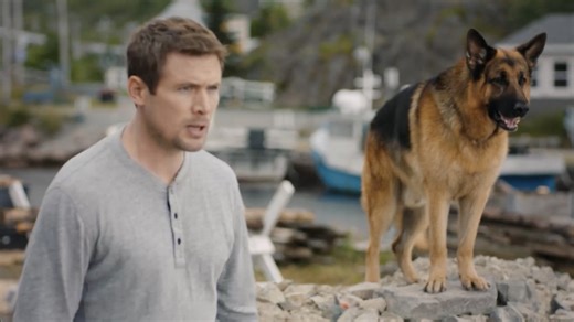 Rex is fast, but can he catch up to a speed boat? 🚤 Hudson & Rex Season 3 airs Wednesday at 7pm ET. #HudsonAndRex | #K9 | #MysterySeries | Ovation TV