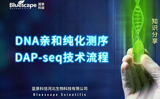 DAP-seq技术流程（DNA亲和纯化测序）