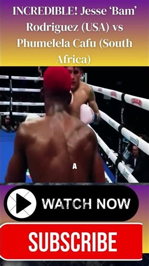 "Nobody Hits Like Bam — The Brutal Body Work That Ended Cafu's Dream"