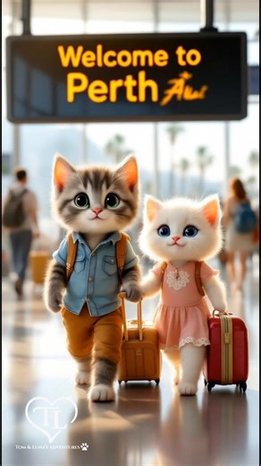 Tom & Luna's Adventures 🐾 Perth Western, Australia 🦘 #AI #tomandluna #cute #viralreelsシ #travel #australia | Tom & Luna’s Adventures