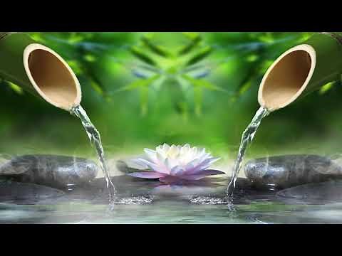 Relaxing Piano Music • Sleep Music, Water Sounds, Relaxing Music, Meditation Music