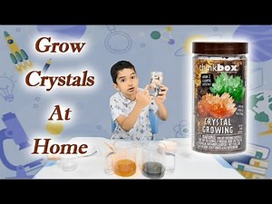 Grow Crystals at Home Fun Kids Science Experiment | Try Think Box With Aras