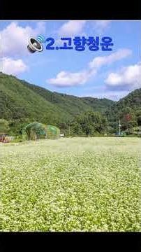 🔊2.고향청운(죽림단상) #죽림단상#juklim#서울마당