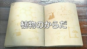 植物のからだ | １０ｍｉｎ．ボックス　　理科２分野 | NHK for School