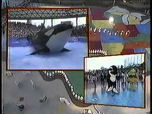 Sea World's All-Star Lone Star Celebration opening - June 18, 1988