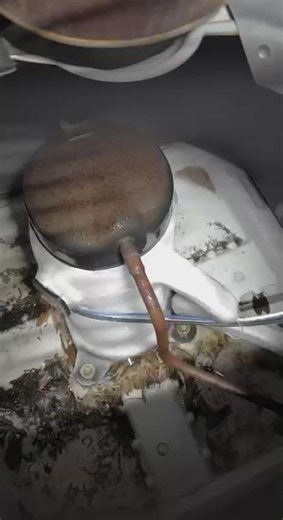 HVAC fan cleaning in Houston - 📞(832)591-8159 - Republic of Cold - Houston - TX