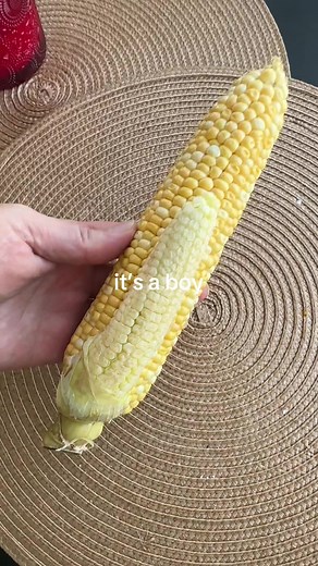Corn hub | Cutting Corn Off Cob