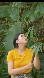 30K views · 406 reactions | kawih sunda lawas ,konten metik buah alpukat ,,,bikin ngiler | Ananghaircut | Facebook