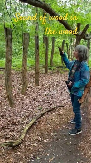 #harmonicsounds #woodsounds #forrest #relaxingsoundbath #special sound