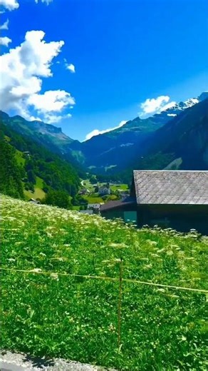 ✨Imagine if you woke up and this Mf sound and this views hits you ✨ #shortsfeed #nature