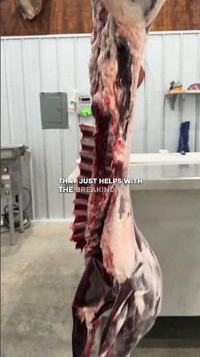 AGING VENISON