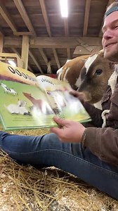 7.7K views · 573 reactions | Gooooood morning! This Farm is a Family is available now! The proceeds of the book go to continuing Barn Sanctuary's mission and allow us to continue to provide animals with a safe, loving home. Buy on Amazon.com here https://www.amazon.com/This-Farm-Family-Barn-Sanctuary/dp/0310747848/ | Barn Sanctuary | Facebook