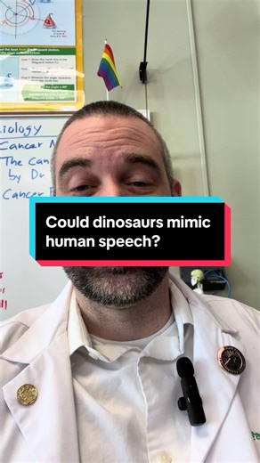 The Surprising Link Between Birds and Dinosaurs