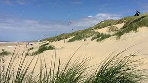 Dune-soaring with paragliders on the grassy dunes on the north-sea beach.