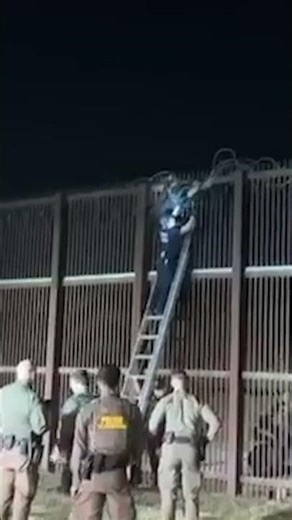 Illegal Migrant Caught Tangled in Razor Wire While Trying to Scale US Border Fence #shorts