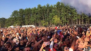 33K views · 1.3K reactions |  It’s only been one week, but we can’t get over all the amazing memories. THANK YOU TO EVERYONE who made it possible!!  Sólo ha sido una semana, pero no podemos dejar de pensar en todos los recuerdos increíbles. GRACIAS A TODOS quienes hicieron posible! | Los Dells Festival | Facebook