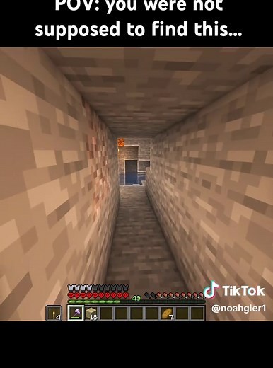 What Is He Hiding in Minecraft Bedrock?