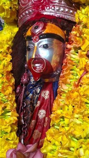 🌺ত্রিলোচনী🌺 #maataratoday #tarapithtemple #hindutemple #tarapithmandir #maa#taramaa #maakali #মা