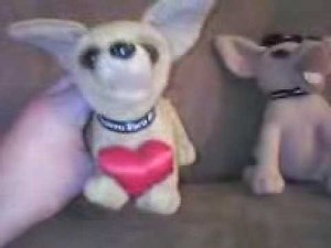 My Taco Bell Toy Chihuahuas