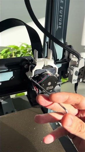 3D Printed Brain Dessert!