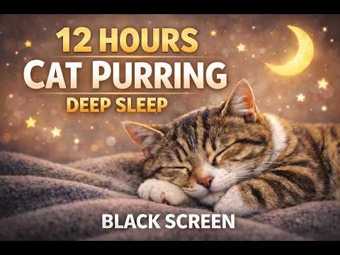 12 Hours of Cat Purring 🐱 | Black Screen Sleep Sound for Deep Sleep, Relaxation & Anxiety Relief