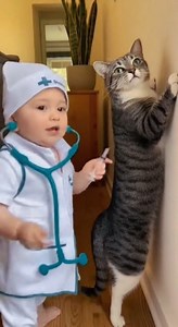 A Very Serious Conversation Between A Baby And His Cat 2026 Detention has been served! 😂 Our tiny disciplinarian caught the cat red-pawed and decided an immediate lecture against the wall was necessary. Watch the cat's desperate "look for the exit" eyes while the baby delivers a passionate speech in baby language. We still don't know the crime, but the sentence is clearly a stern talking-to. That angry baby face is too much! 🥺👉😾 What's the one rule you think the cat broke? Tell us in the com