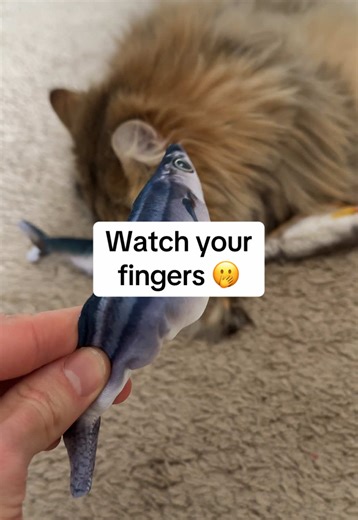 Engaging Motion-Activated Cat Toys for Indoor Cats
