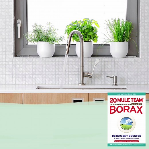 One Ingredient, Many Uses. 20 Mule Team® Borax is the all-in-one kitchen cleaner. Check out all the ways you can use it here: http://boostwithborax.com | 20 Mule Team Borax