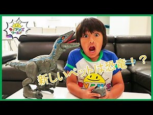 Pet Dinosaur Jurassic World Alpha Training Blue visits Ryan!!!!