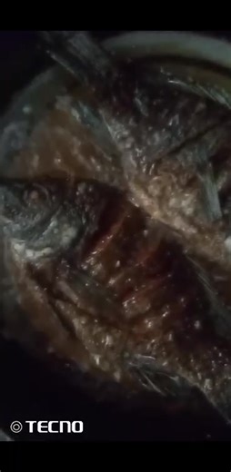 kuna wale hawajui kudeep fry fish ��� Yao huwa inatoka uji uji, just check how to deep fry fish � as simple as 123 �� | Stellah Achola | Facebook