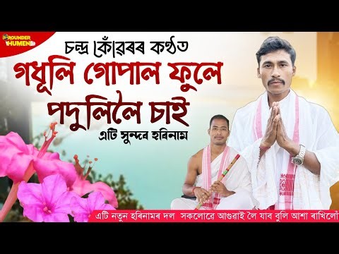 Harinam || গধূলি গোপাল ফুলে পদূলিলৈ চাই || Godhuli Gopal Phule || কন্ঠ- চন্দ্ৰ কোঁৱৰ || হৰিনাম
