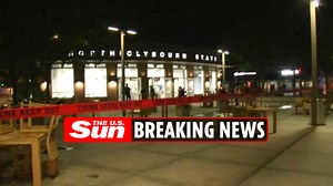 'Multiple' people stabbed on train line in Chicago as police rush to station