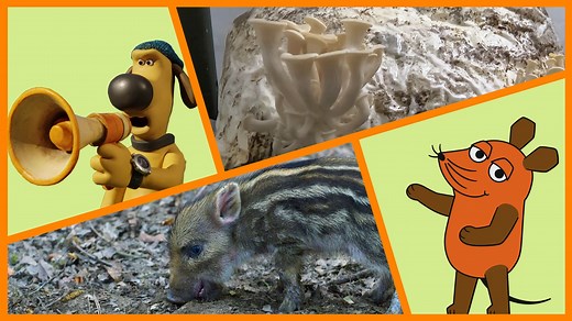 Die Sendung mit der Maus vom 01.03.2026