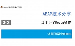 让顾问学习DEBUG-第十二课-Debug的相关操作