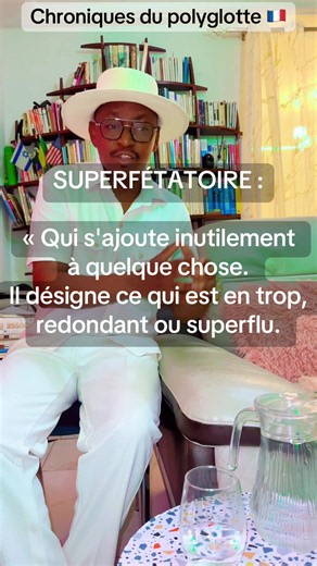 CHRONIQUES DU POLYGLOTTE 🇫🇷: Dans cette vidéo, j’enrichis ton vocabulaire avec un nouveau mot de la langue française et tu passeras au niveau soutenu ! #fypシ゚viral #tiktokviral #tiktokafrique🇹🇬🇨🇩🇨🇮🇧🇯🇬🇦🇨🇲🇬🇦 #gabontiktok🇬🇦 #pourtoi