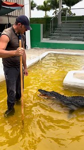 107K views · 3.5K reactions | Working with macho and muttley a...