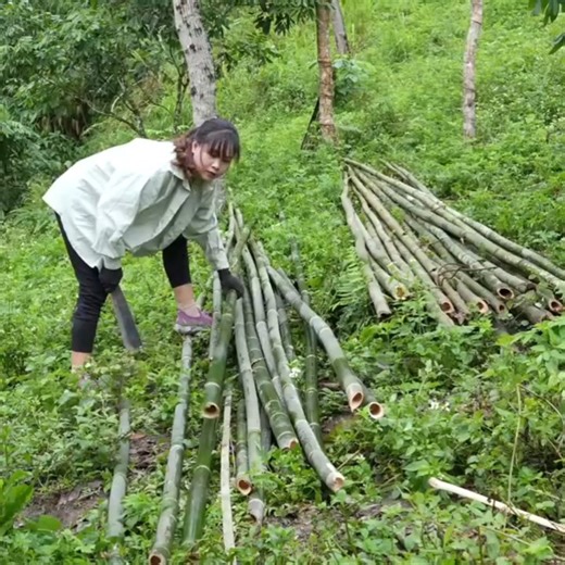 Make a climbing trellis for luffa and gourd | CR-Truck Action-cv | Facebook