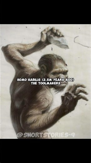 Evolution of human… #shorts #evolution #humanity