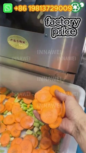 How to Process Leafy Vegetables Faster Spinach Celery Cutting Machine and Smooth Cucumber Slicing