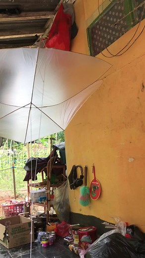 Vaviran polos#kontes #layangan #vapiran #fyp