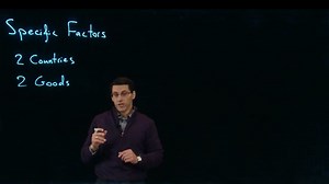 Specific Factor Model / 特定要素模型
