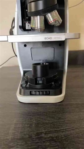 The Science of Stinky Breath: What You Need to Know! 🤢🔍