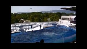 京都水族館　イルカの歌