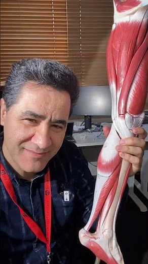 What's Inside Your Tarsal Tunnel