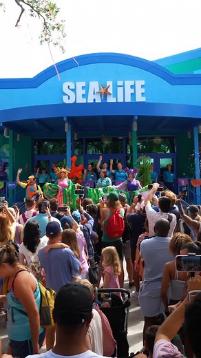 3.2K views · 1.2K reactions | The world’s first “Theme Park Under the Sea” experience at SEA LIFE Florida is officially open!  From clamshell Ferris wheels to 180-degree shark tunnels, this underwater world is bursting with fun, learning, and ocean love  Come SEA it for yourself! | LEGOLAND Florida | Facebook